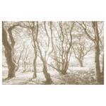 Vlies-fotobehang Bleached Birch vlies - bruin/wit - 400 x 250 cm