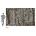 Vlies-fotobehang Bleached Birch vlies - bruin/wit - 400 x 250 cm