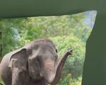 Elephants Kinderbettw盲sche