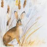 Leinwandbild Country Hare