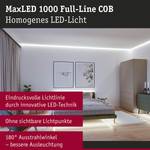 MaxLED-Stripe 1000 COB Daylight