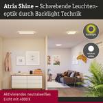 Shine Atria D LED-Deckenleuchte Typ