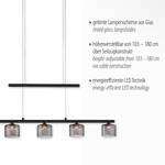 Hanglamp Hydra rookglas/ijzer - 5 lichtbron - Zwart