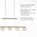 Hanglamp Hydra gekleurd glas/ijzer - 5 lichtbronnen - Messing