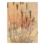 Leinwandbild Pressed Reed Vlies - Mehrfarbig - 30 x 40 cm