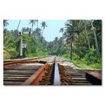 Leinwandbild Rails Srilankan