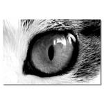 Leinwandbild Cats Eye Fichte Massiv / Mischgewebe - 80 x 120 cm - Schwarz / Weiß