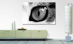 Leinwandbild Cats Eye Fichte Massiv / Mischgewebe - 80 x 120 cm - Schwarz / Weiß