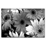 Afbeelding Flowery Scent massief sparrenhout/textielmix - 80 x 120 cm - Zwart/wit