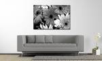 Afbeelding Flowery Scent massief sparrenhout/textielmix - 80 x 120 cm - Zwart/wit