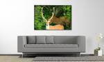 Leinwandbild Watching Deer Fichte Massiv / Mischgewebe - 80 x 120 cm