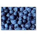 Leinwandbild Blueberries