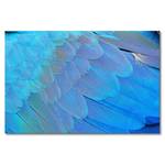 Quadro Bird Feathers Abete massello / Tessuto misto - 80 x 120 cm