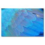 Afbeelding Bird Feathers massief sparrenhout/textielmix - 80 x 120 cm