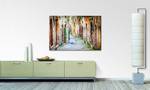 Leinwandbild Charming Alley Fichte Massiv / Mischgewebe - 80 x 120 cm
