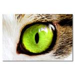 Leinwandbild Cats Eye Fichte Massiv / Mischgewebe - 80 x 120 cm - Multicolor