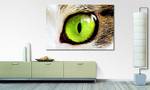 Leinwandbild Cats Eye Fichte Massiv / Mischgewebe - 80 x 120 cm - Multicolor