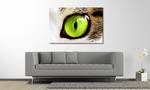 Leinwandbild Cats Eye Fichte Massiv / Mischgewebe - 80 x 120 cm - Multicolor