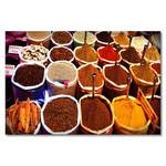 Spices Leinwandbild Colorful