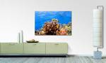 Quadro Corals Reef Abete massello / Tessuto misto - 80 x 120 cm