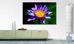 Quadro Nymphaea Abete massello / Tessuto misto - 80 x 120 cm - Multicolore