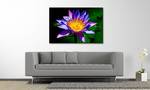 Quadro Nymphaea Abete massello / Tessuto misto - 80 x 120 cm - Multicolore