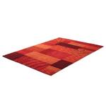 Wollteppich Domas Schurwolle / Rot / 170 x 240 cm - Rot - 170 x 240 cm