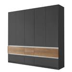 Armoire Winnipeg Gris métallisé - Largeur : 226 cm - Avec éclairage