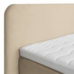 Letto boxspring Baladre Microfibra Faria: beige - 160 x 200cm - H3