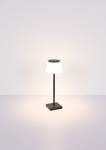 Lampada da tavolo Gregoir Vetro acrilico / Alluminio - 1 punto luce