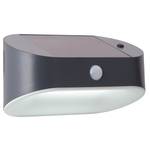 Solar D LED-Wandleuchte Typ