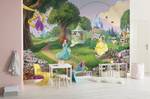 Fototapete Disney Princess Rainbow Spezial-Fototapetenpapier