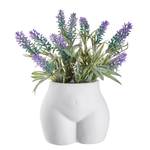 Blumentopf/Vase BOODY