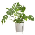 Pflanztopf PLANTA Eisen - Beige