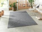 In- & Outdoorteppich Trenzado Typ A Hellgrau - 200 x 290 cm