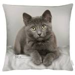 Coussin 6870 Polyester / Coton - Gris - 45 x 45 cm