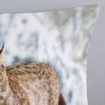 Biber-Bettwäsche Lynx Baumwolle - Grau - 200 x 200 cm + 2 Kissen 70 x 60 cm