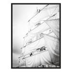 Bild Sailing Black & White Buche Massiv / Acrylglas - Schwarz - 63 x 83 cm