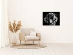 Metallbild Black & White Tiger Aluminium - Grau - 40 x 50 cm