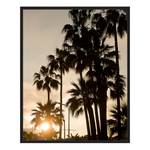 Tableau déco Palms Sunset Hêtre massif / Plexiglas - Noir - 42 x 52 cm