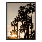 Bild Palms Sunset Buche Massiv / Acrylglas - Schwarz - 73 x 93 cm