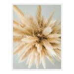 Quadro Pampas Grass Faggio massello / Vetro acrilico - Bianco