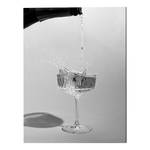 Tableau métallique Black White Champagne Aluminium - Multicolore - 30 x 40 cm