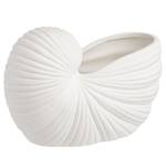 Coquillage décoratif SCALLOP Grès - Blanc