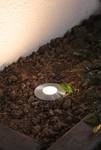 Einbauleuchte Plug & Shine Floor Mini Edelstahl - Silber - 6 x 9 cm - 4-teilig