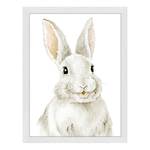 Quadro Bunny Faggio massello / Vetro acrilico - Bianco - 33 x 43 cm