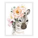 Bild Zebra Baby Collection Buche Massiv / Acrylglas - Weiß - 53 x 63 cm