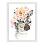 Bild Zebra Baby Collection Buche Massiv / Acrylglas - Weiß - 33 x 43 cm