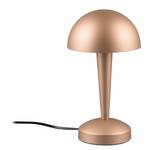 Lampe LED Canaria Fer - 1 ampoule - Marron café