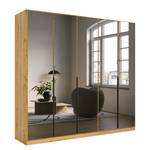 Drehtürenschrank Skyla Typ A Grauspiegel - Eiche Artisan Dekor - Breite: 226 cm